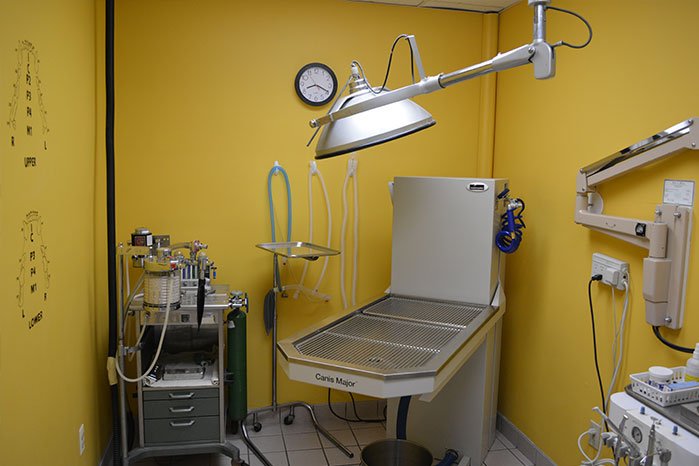 Dental Suite