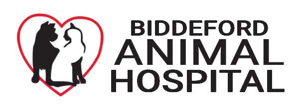 Biddeford Animal Hospital